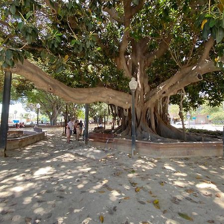 알리칸테 Tropical Loft 아파트 외부 사진